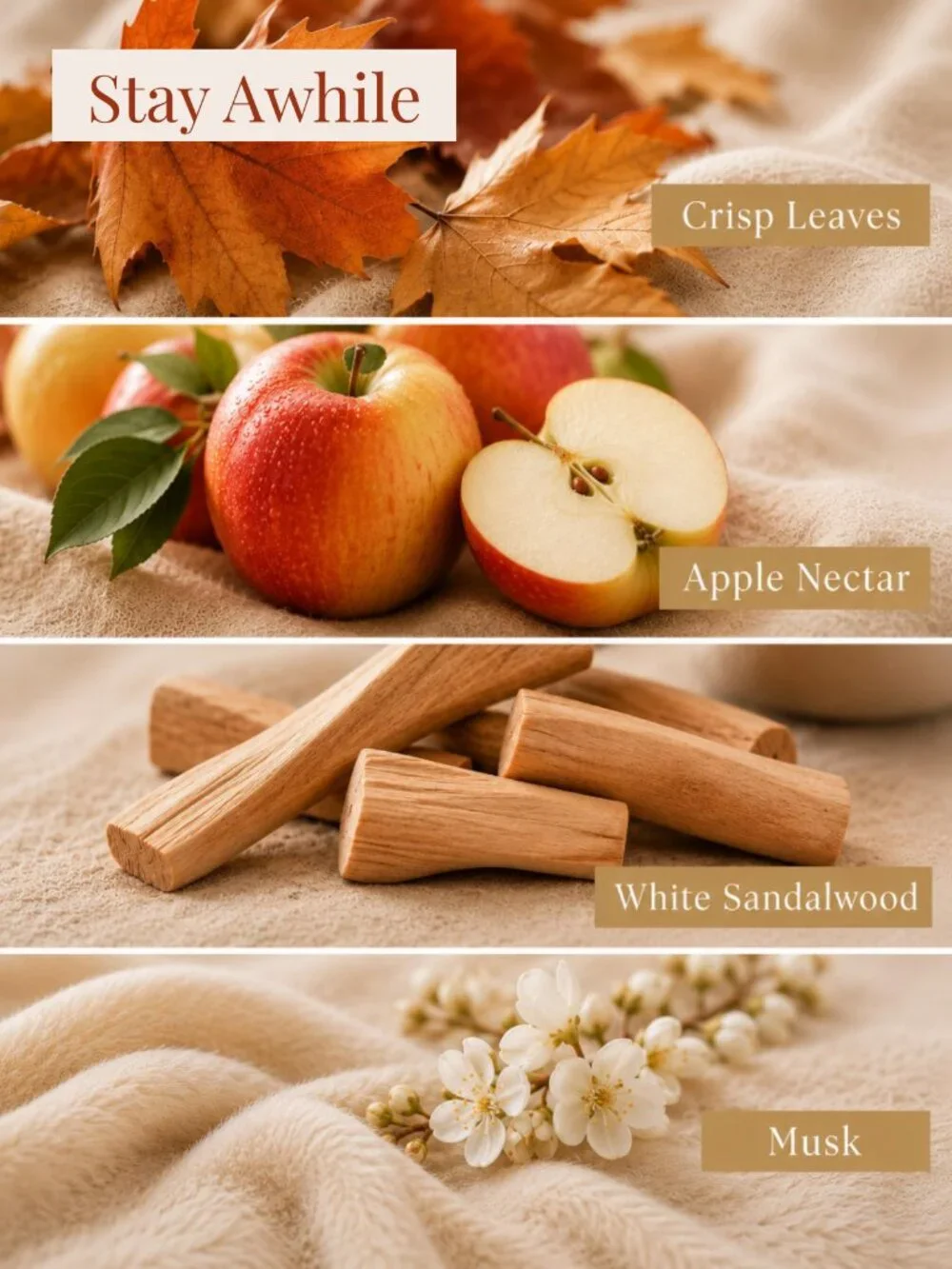 Harvest Collection Candle Set, Luxury Fall Candles, Thanksgiving Hostess Gift